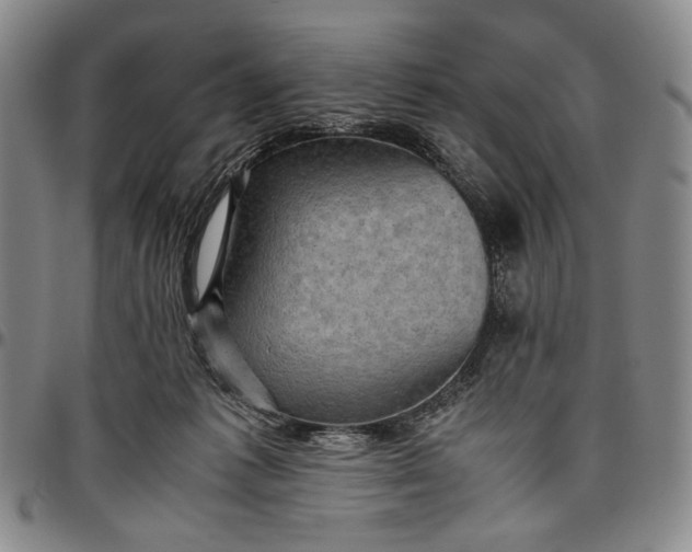 X0000096640221200802191227