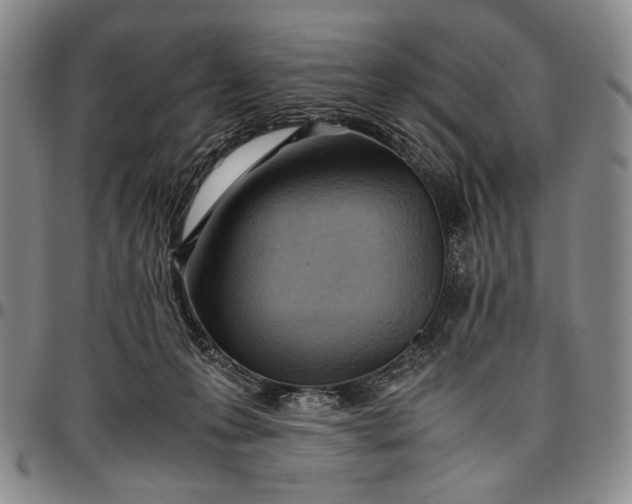 X0000096640223200802191227