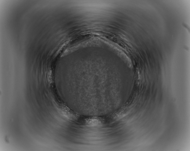 X0000096640224200802191227