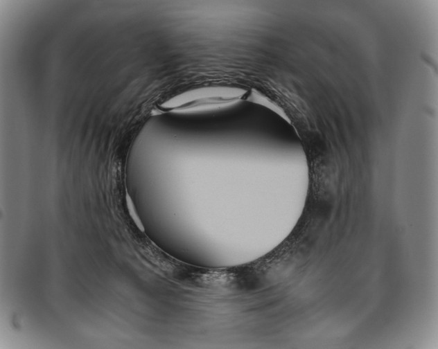 X0000096640225200802191227