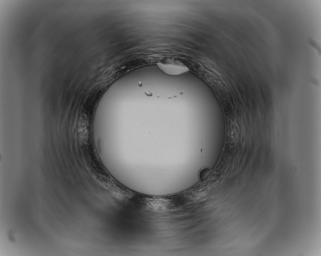 X0000096640226200802191227