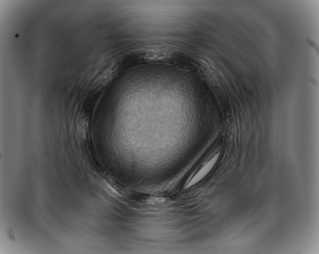 X0000096640227200802191227