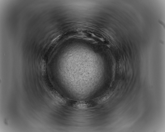 X0000096640228200802191227