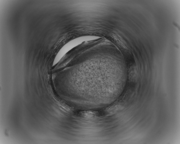 X0000096640229200802191227