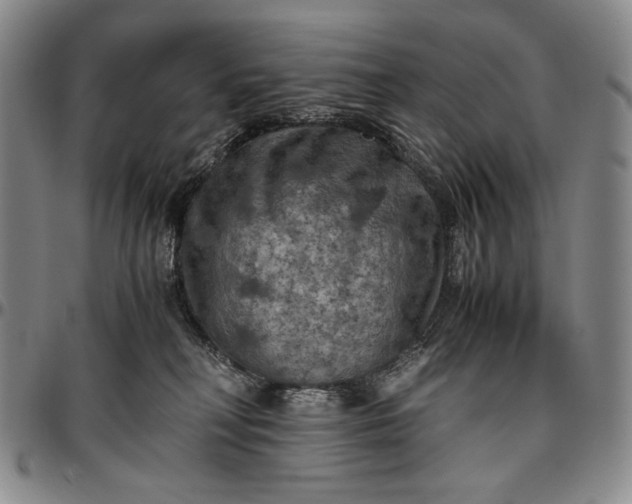 X0000096640230200802191227