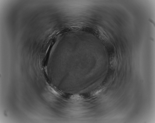 X0000096640231200802191227