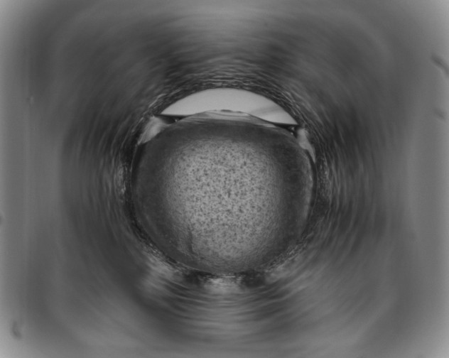 X0000096640232200802191227