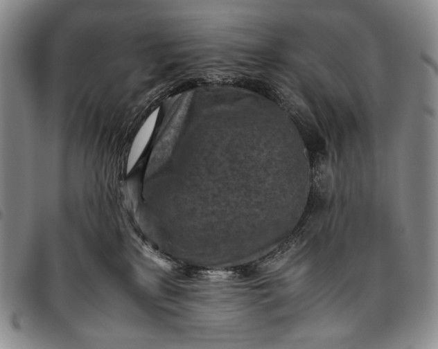 X0000096640233200802191227