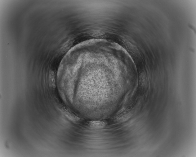 X0000096640234200802191227