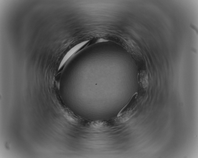 X0000096640235200802191226