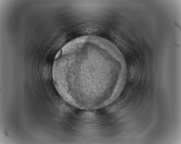 X0000096640236200802191226