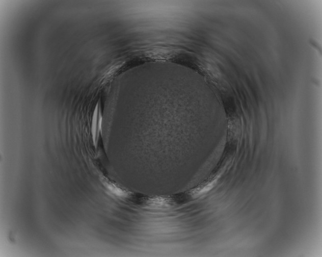 X0000096640237200802191226