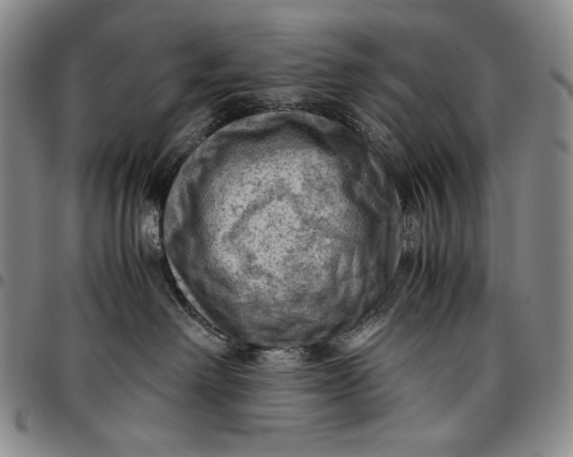 X0000096640238200802191226