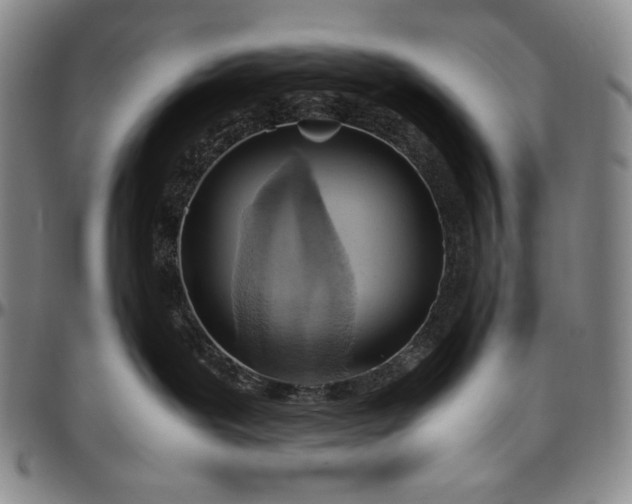 X0000096640239200802191226