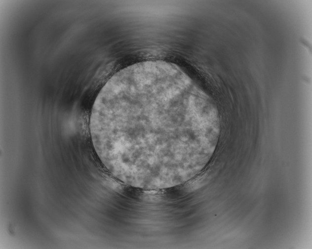 X0000096640240200802191226