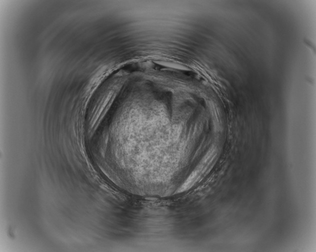 X0000096640241200802191226