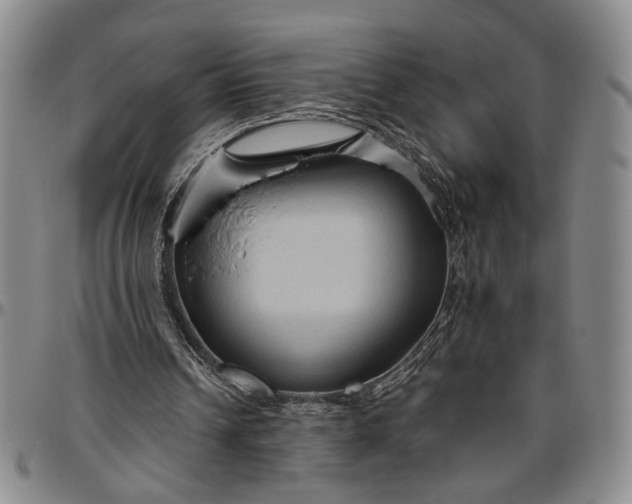 X0000096640242200802191226