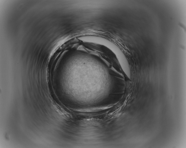 X0000096640244200802191226