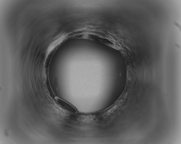 X0000096640245200802191226