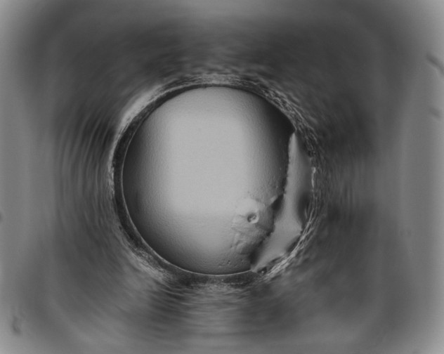 X0000096640246200802191226