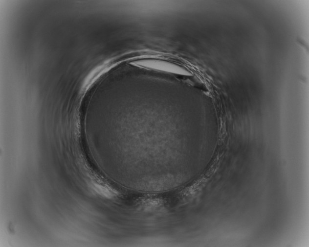 X0000096640247200802191226