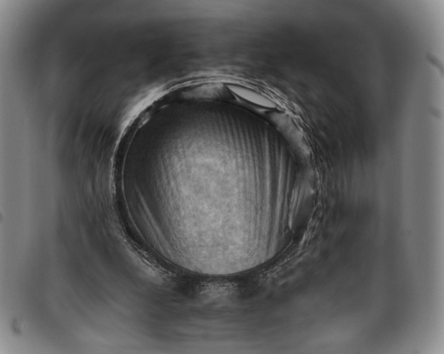 X0000096640248200802191226