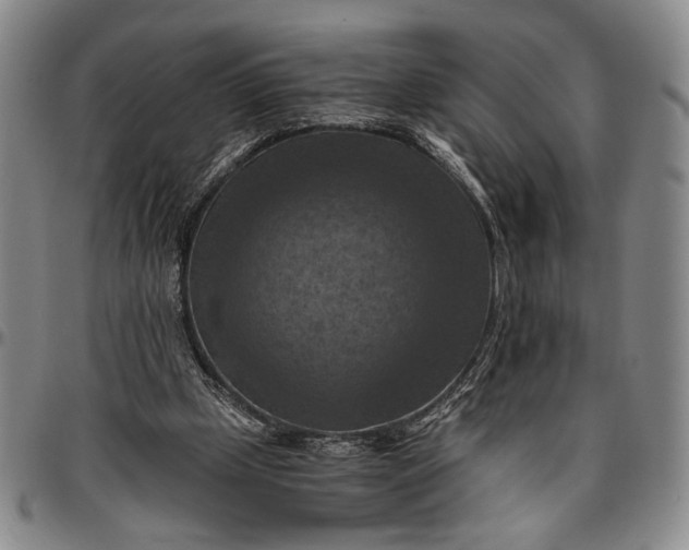 X0000096640249200802191226