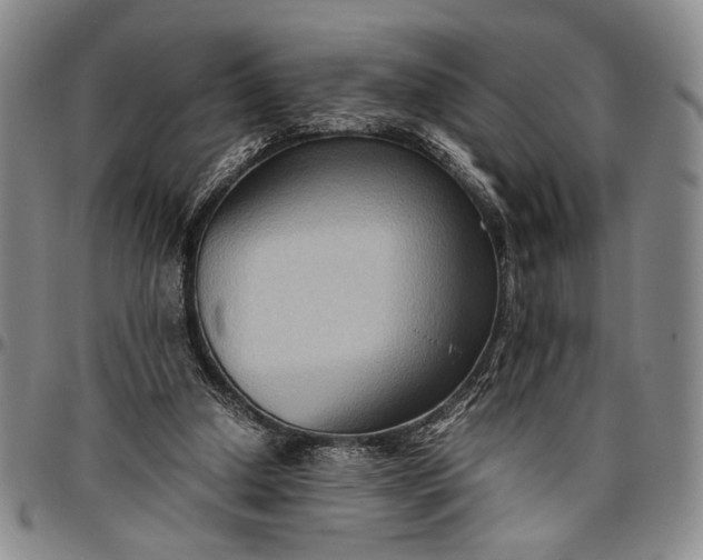 X0000096640250200802191226