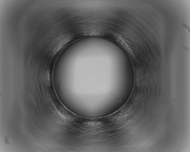 X0000096640251200802191226