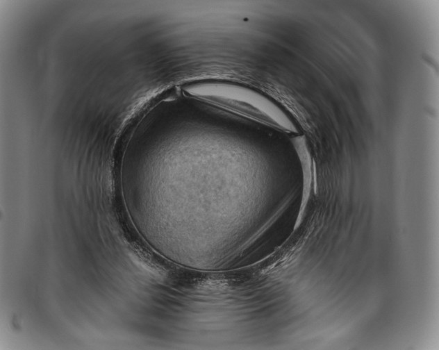 X0000096640252200802191226