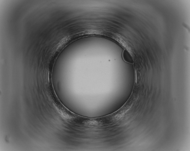 X0000096640253200802191226