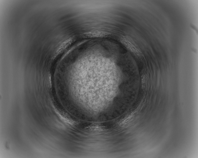 X0000096640254200802191226