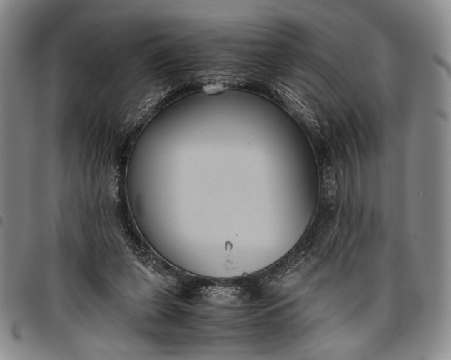 X0000096640255200802191226