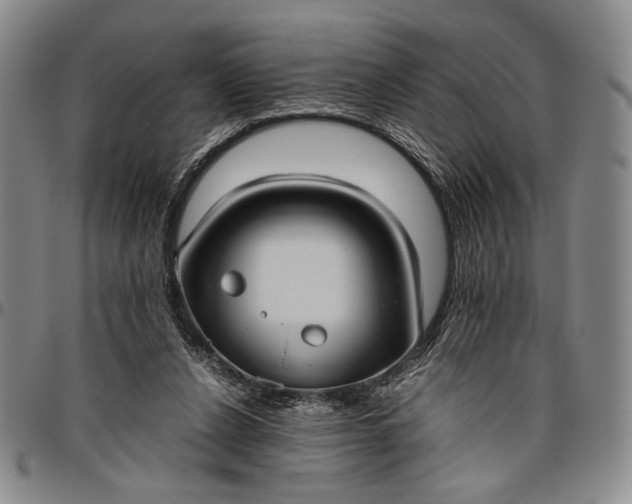 X0000096640256200802191226