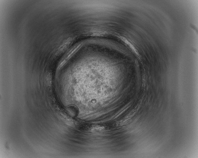 X0000096640257200802191226