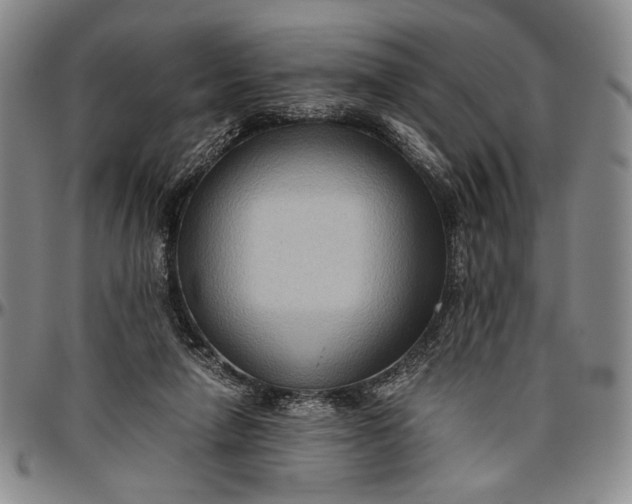 X0000096640258200802191226