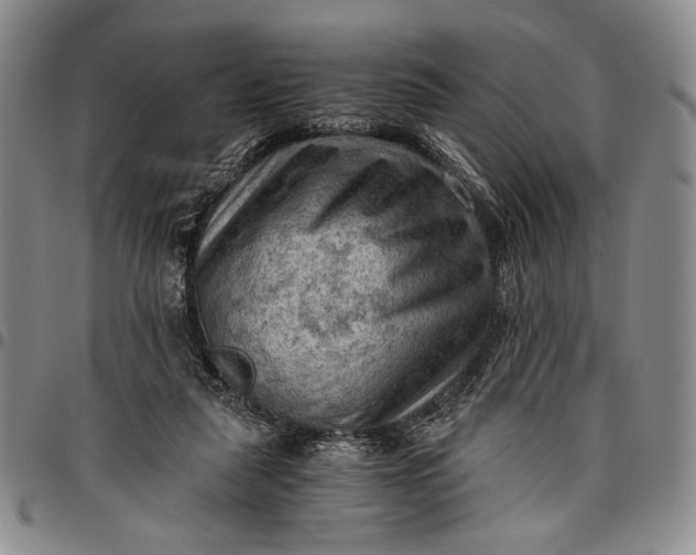 X0000096640259200802191226