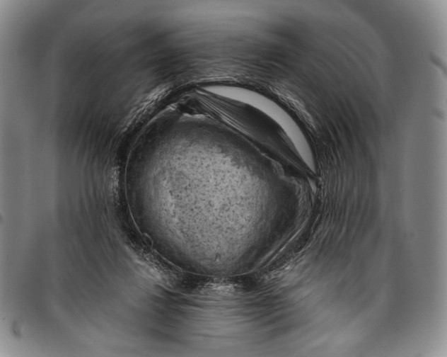 X0000096640260200802191226