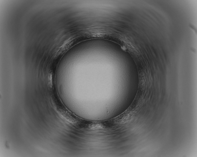 X0000096640262200802191226