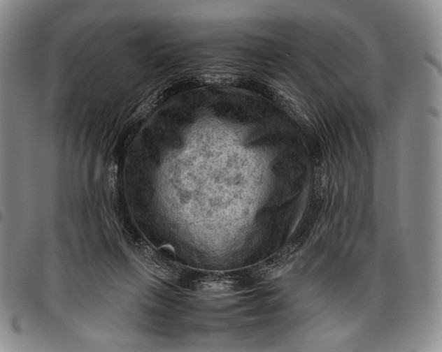 X0000096640263200802191226