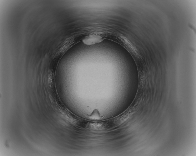 X0000096640265200802191226