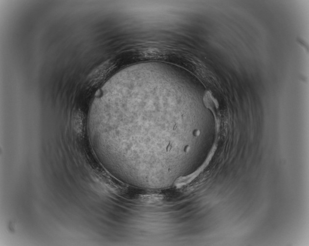 X0000096640266200802191226