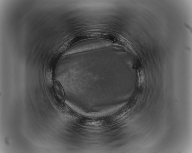 X0000096640267200802191226