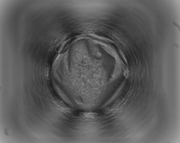 X0000096640268200802191226