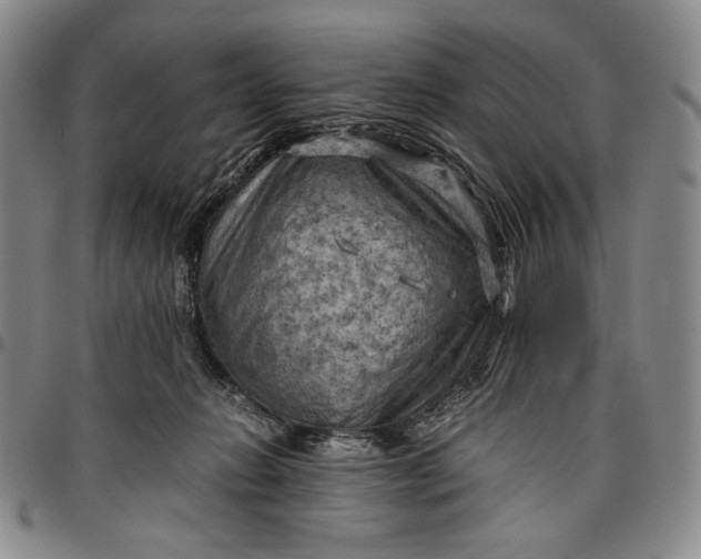 X0000096640270200802191226