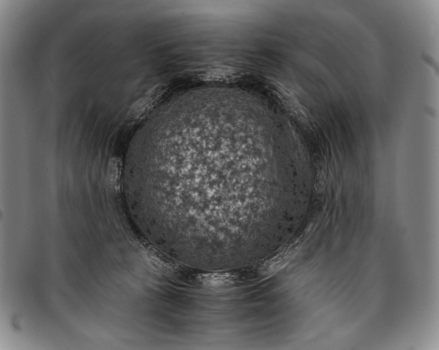 X0000096640273200802191226