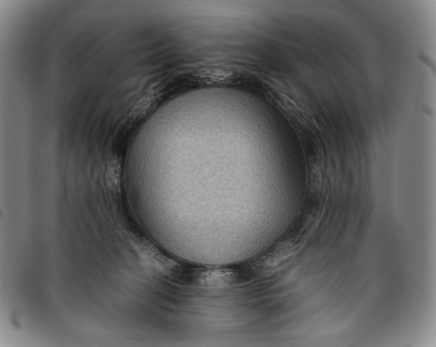 X0000096640274200802191226