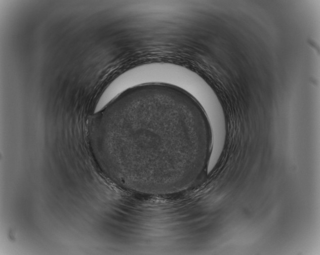 X0000096640276200802191226