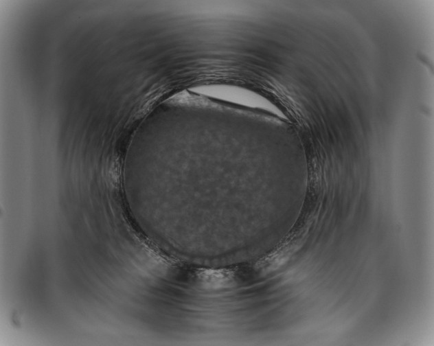 X0000096640277200802191226