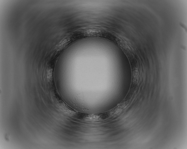 X0000096640278200802191226